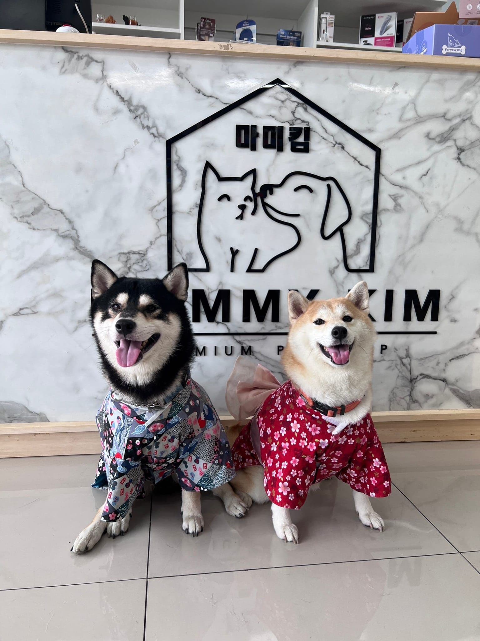 Mommykim pet shop