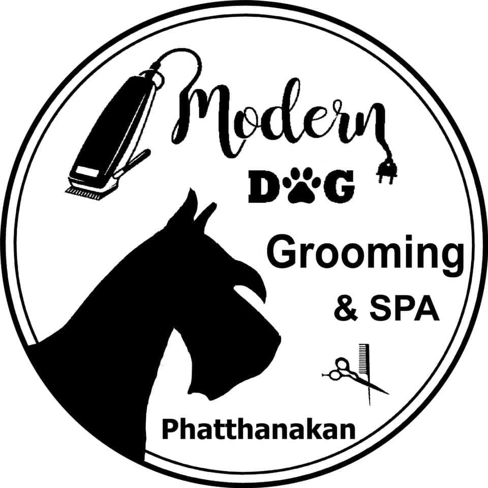 Modern Dog Grooming