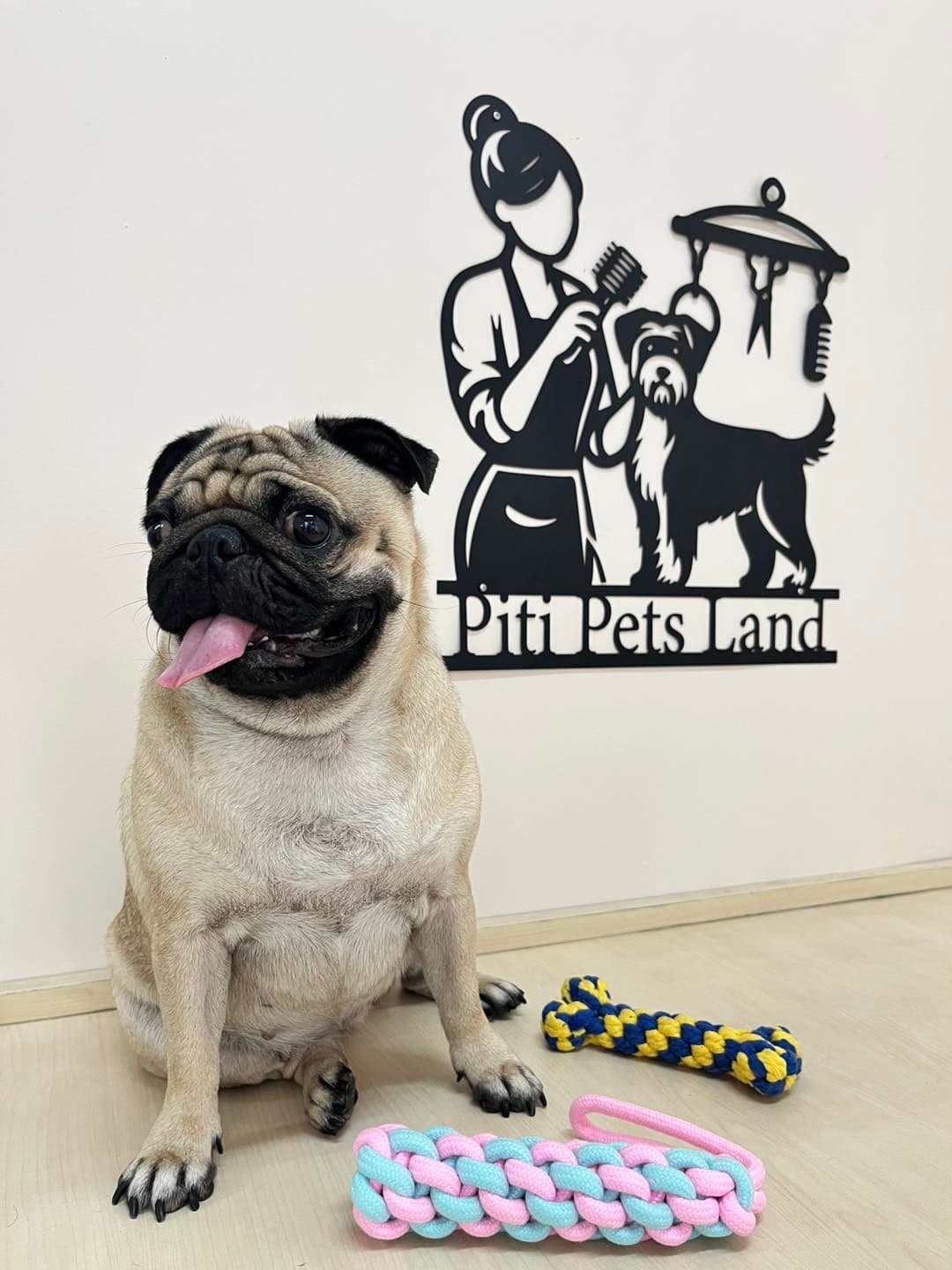 Piti Pets Land image 2