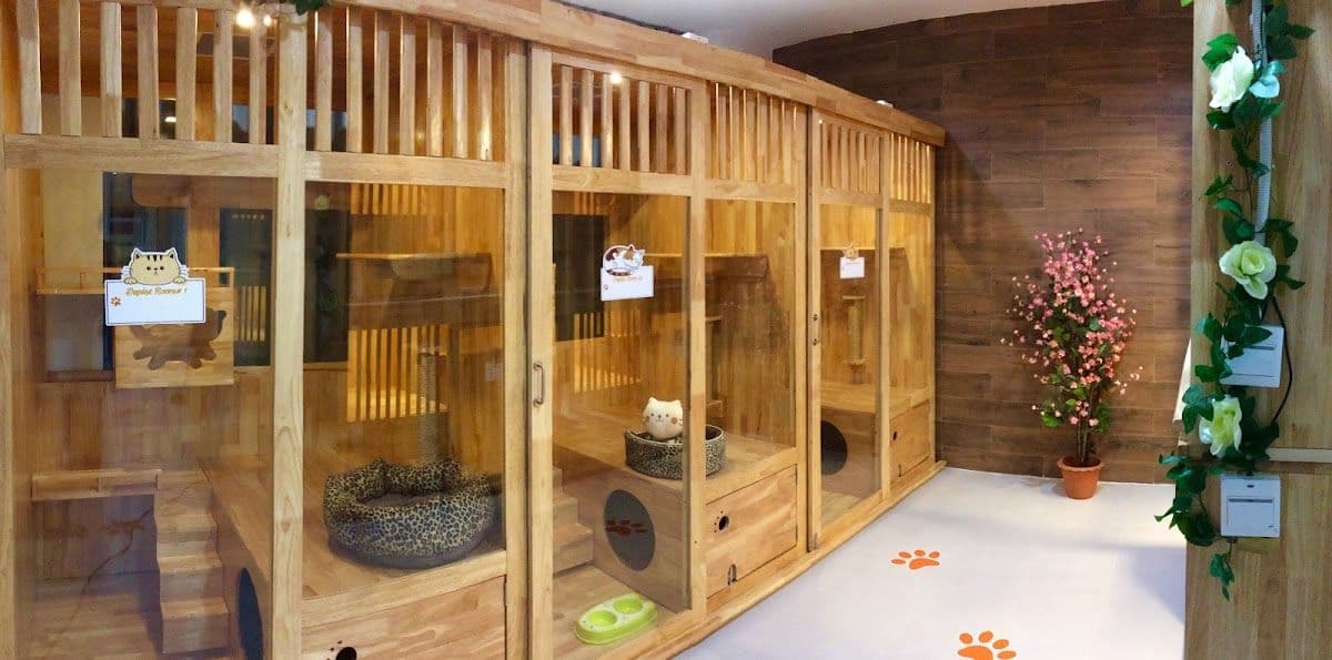 โรงพยาบาลสัตว์พีเอสแคร์