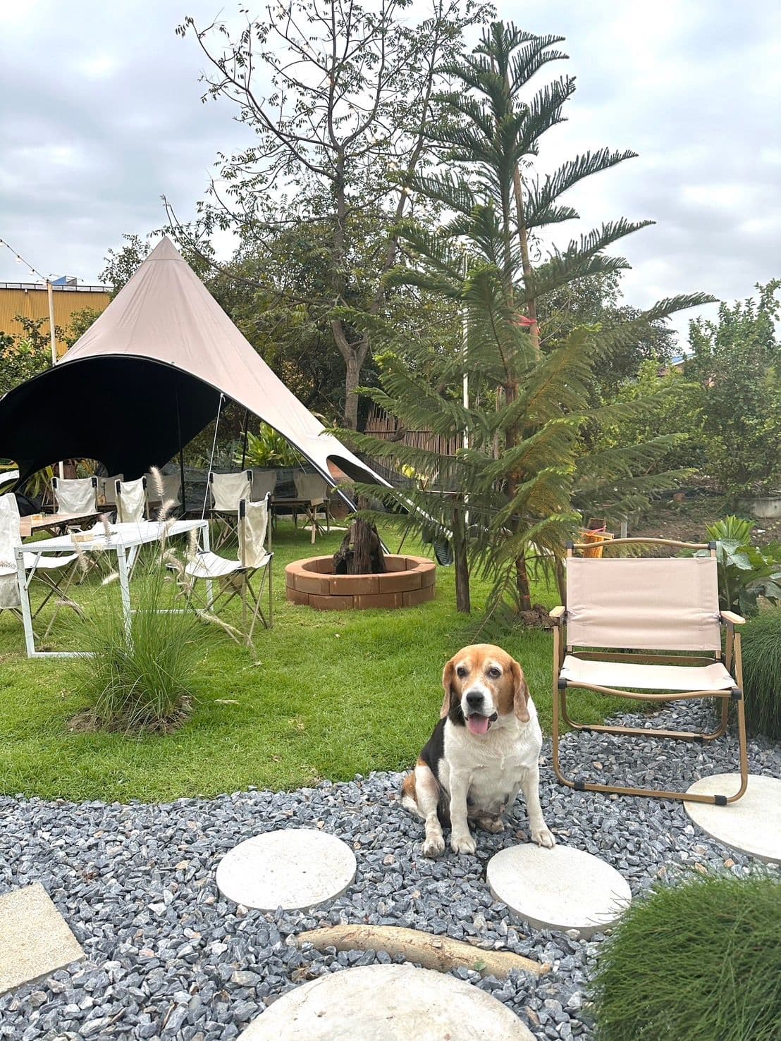 Mood and moon camping cafe'