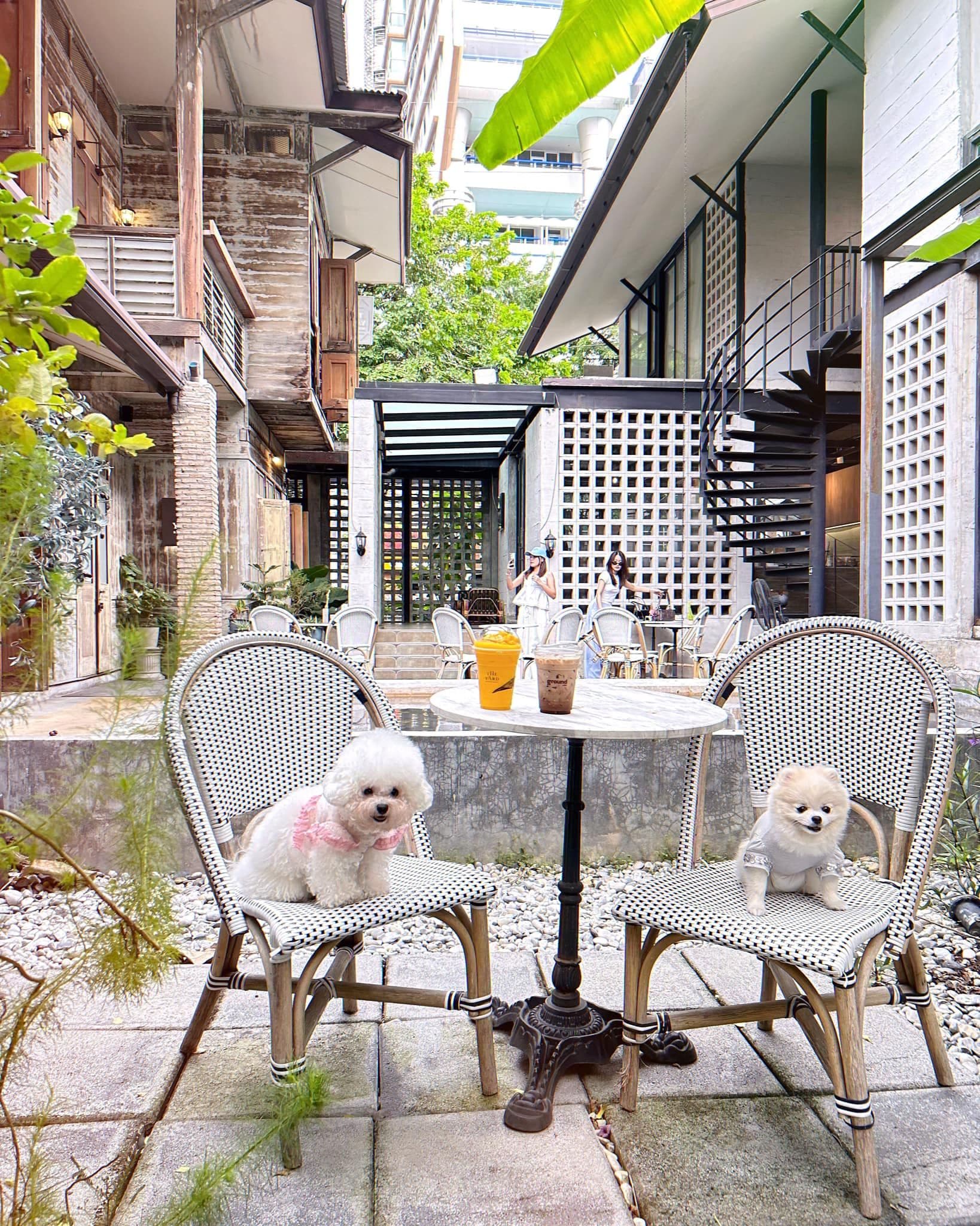 The Yard Restaurant gallery 5