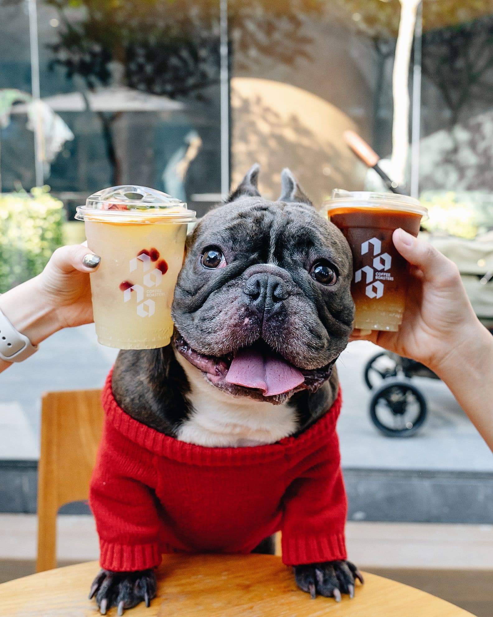 NANA Coffee Roasters Ari