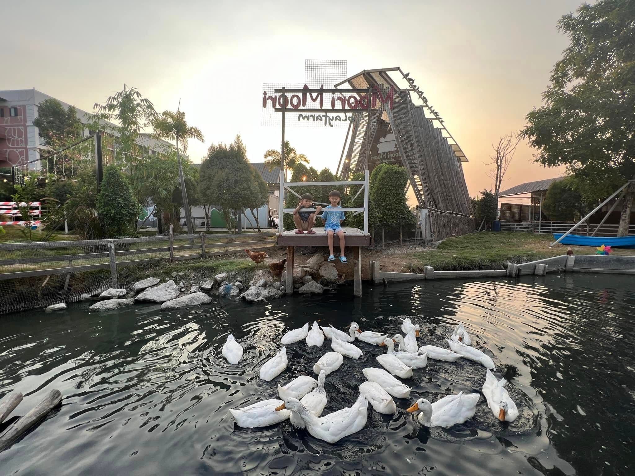 Moori Moori Playfarm