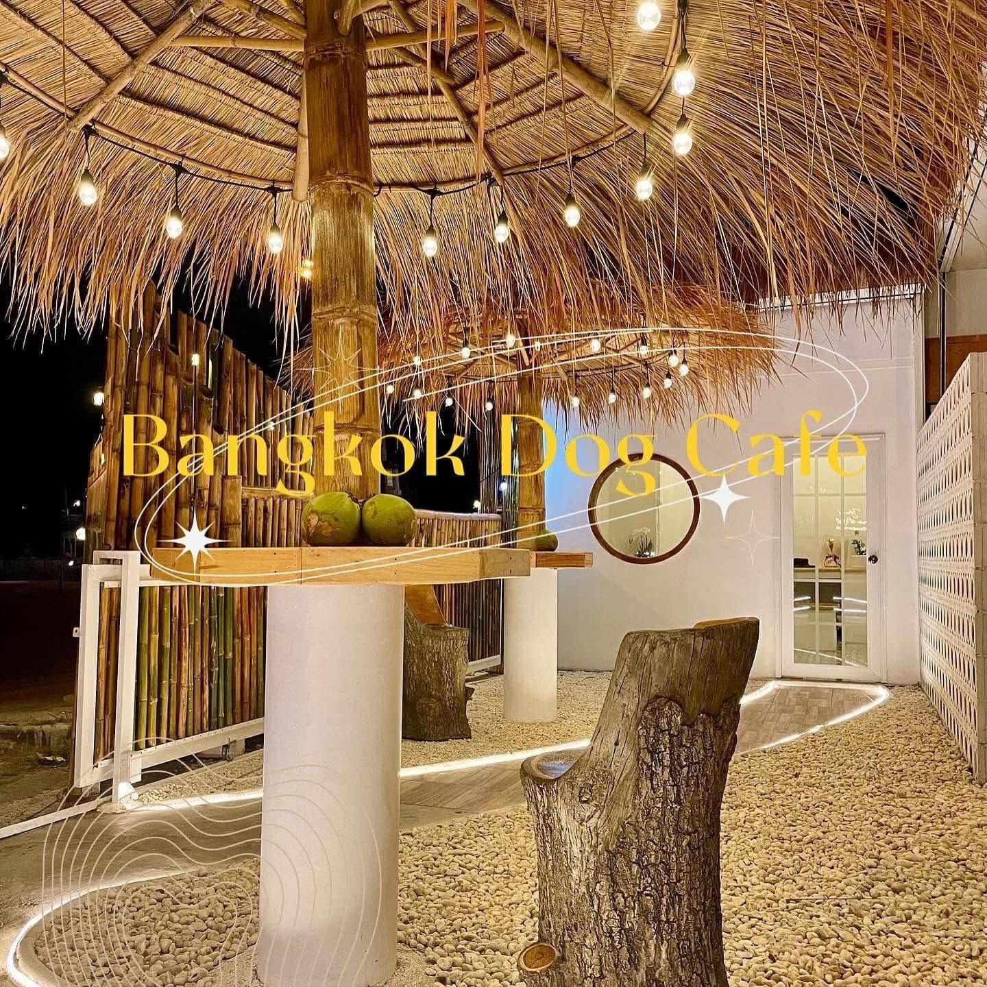 Bangkok Dog Cafe gallery 9