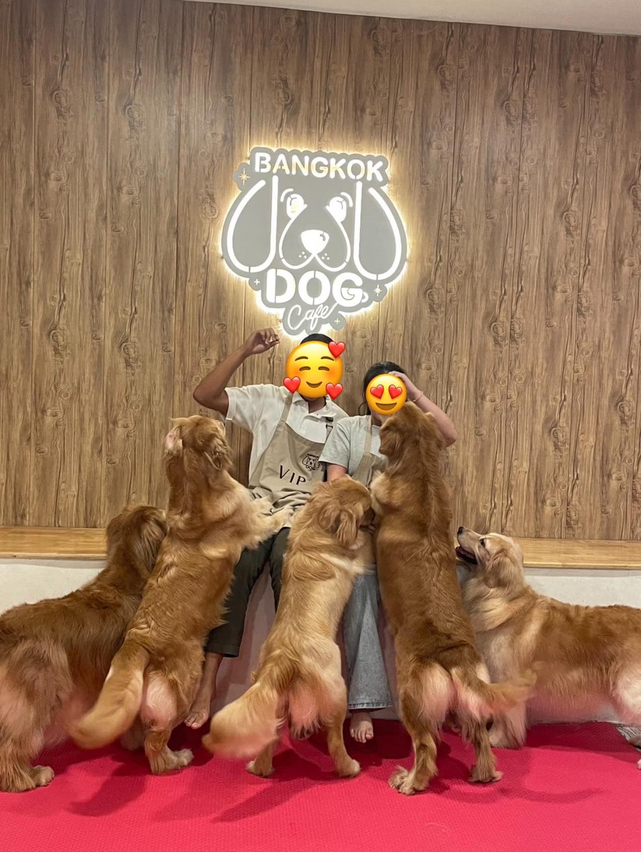 Bangkok Dog Cafe gallery 7