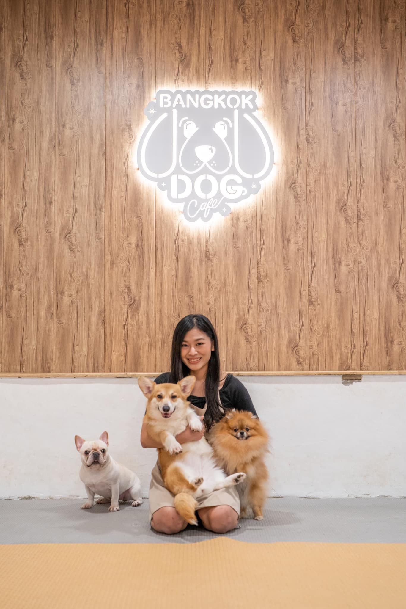 Bangkok Dog Cafe gallery 4