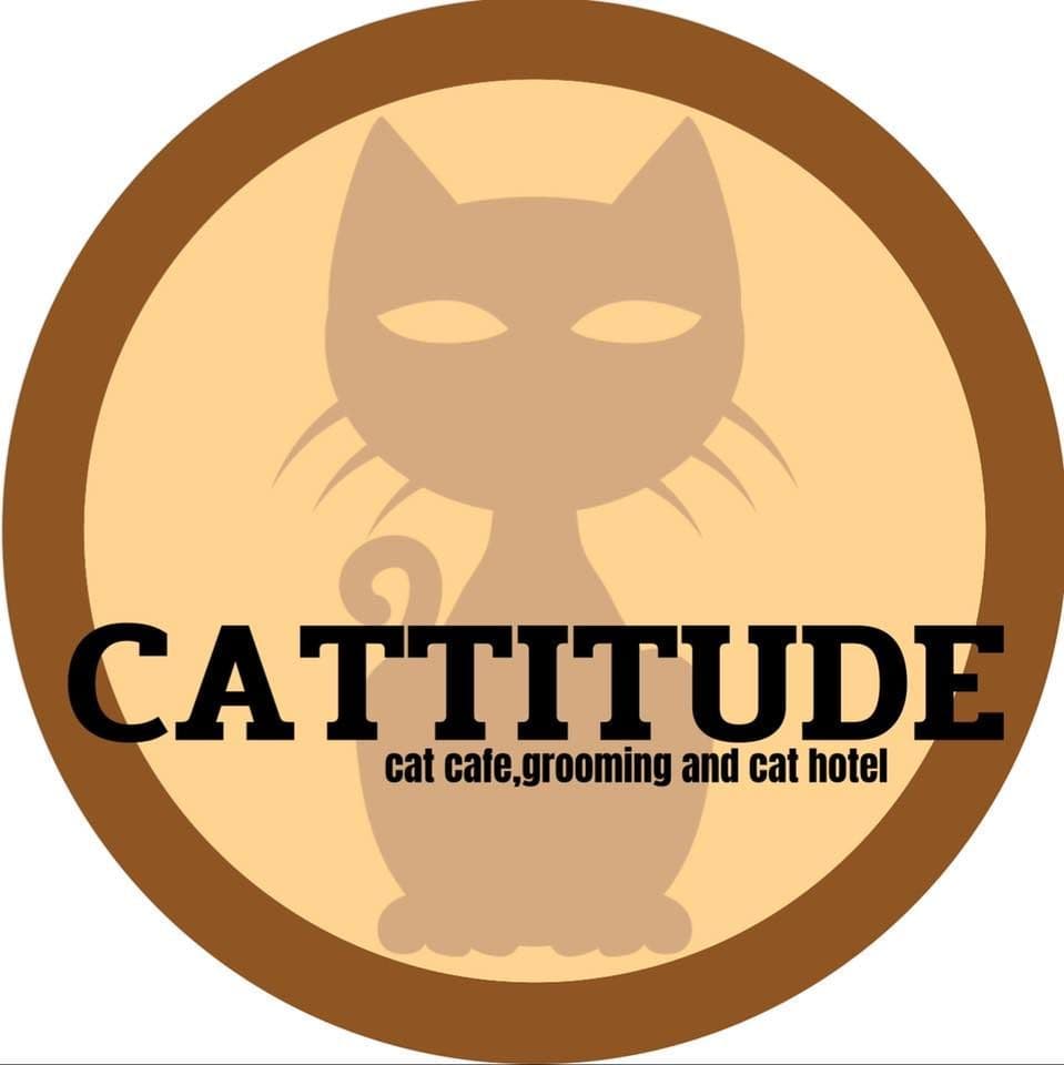 Cattitude cat cafe