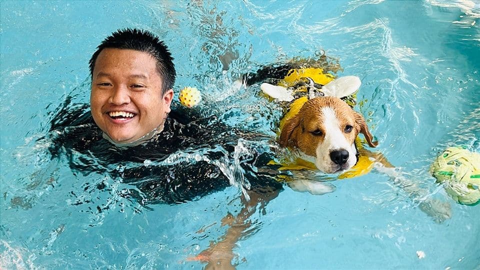 Dogland Gold Grooming & Resort - สาขา2