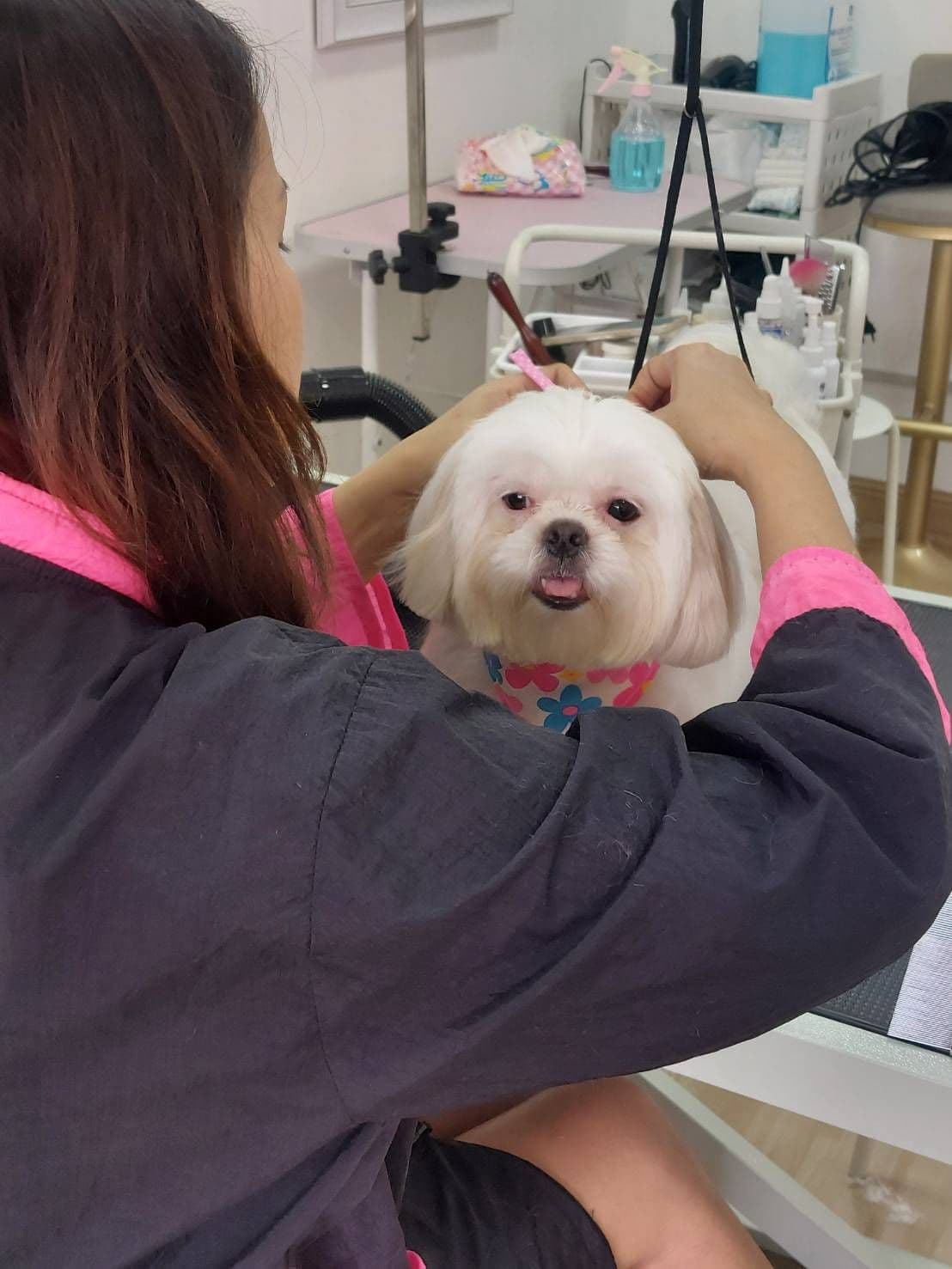 Kawaii Pet Grooming&Spa