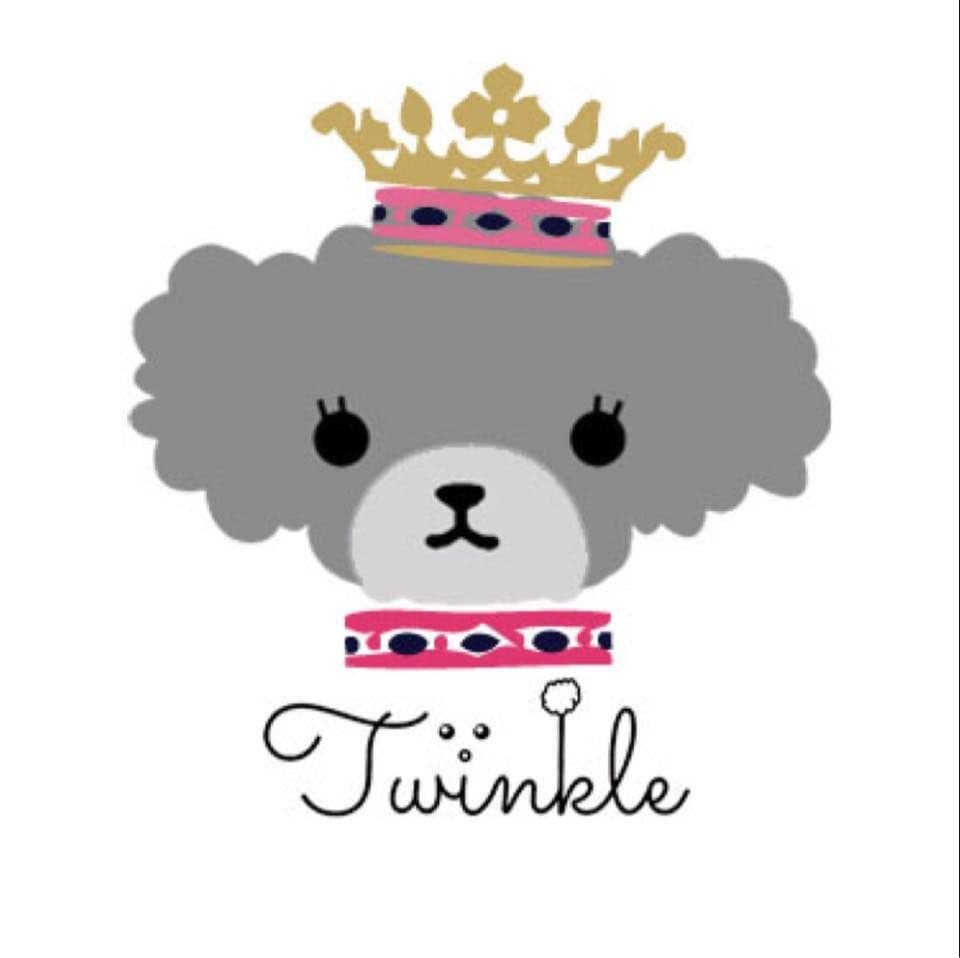 Twinkle Pet Park