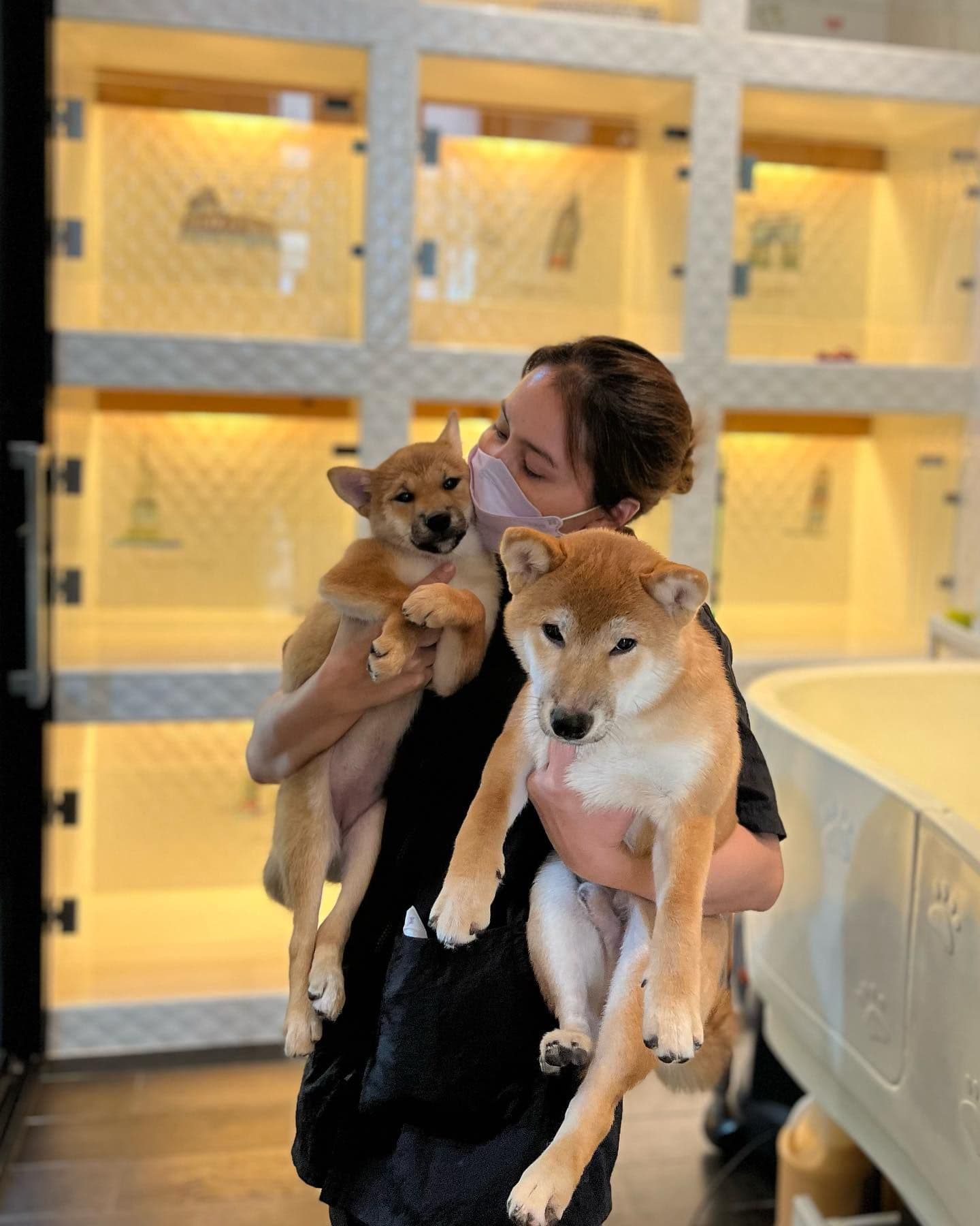 The Dogtor อาบน้ำตัดขนสุนัข โรงแรมสุนัข