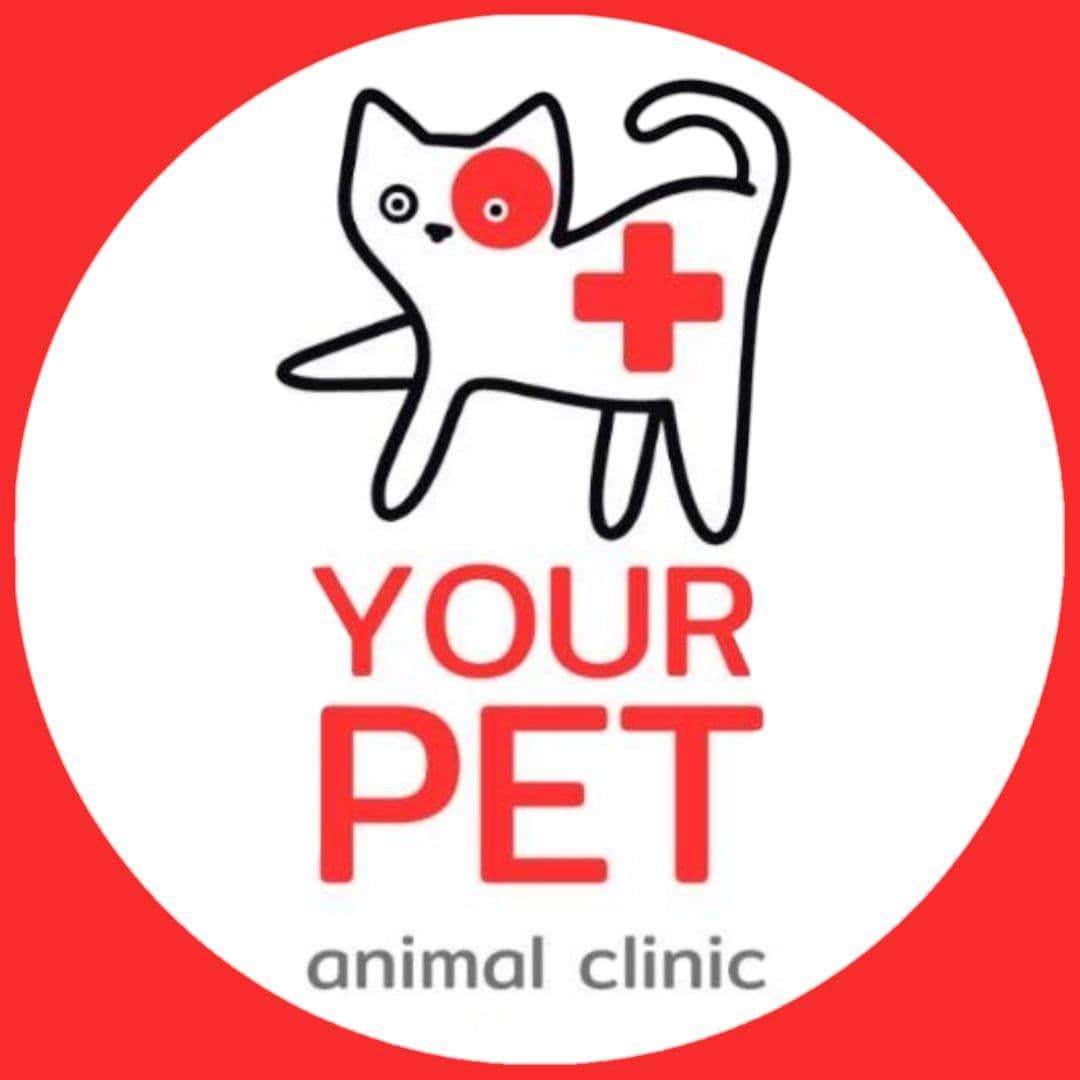 คลินิกรักษาสัตว์ของคุณ