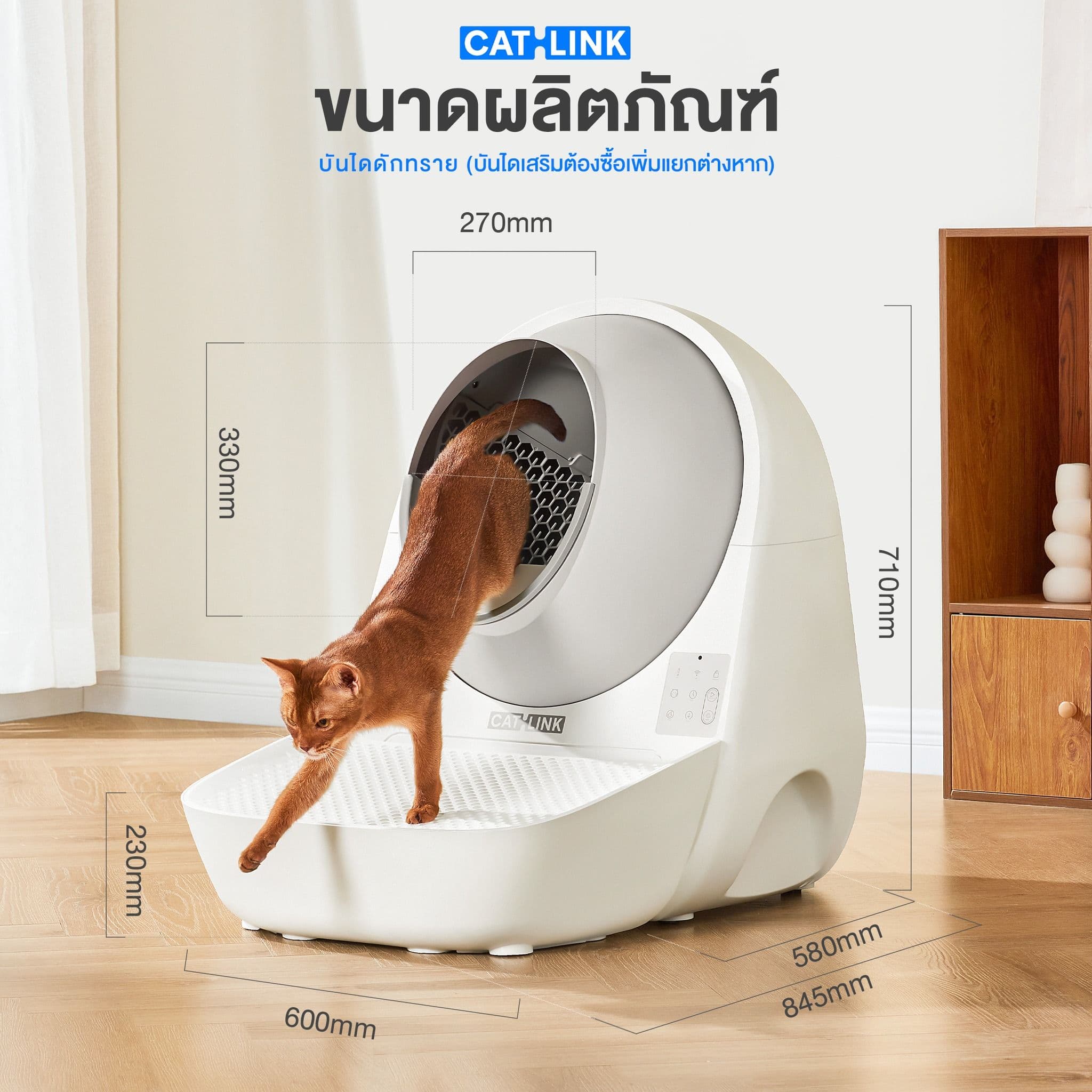 Petology Thailand image 3