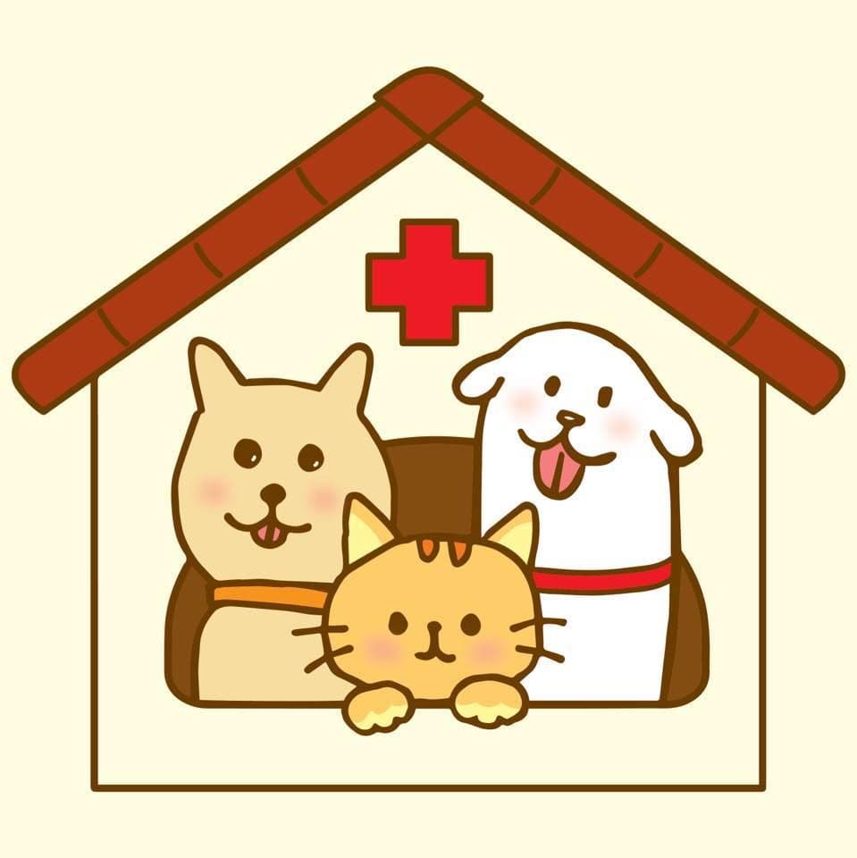 คลินิกรักษาสัตว์ หมอนุส