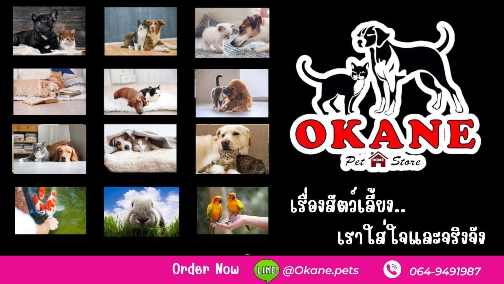 Okane Pet Home Store(Chaiyapreuk) image 2