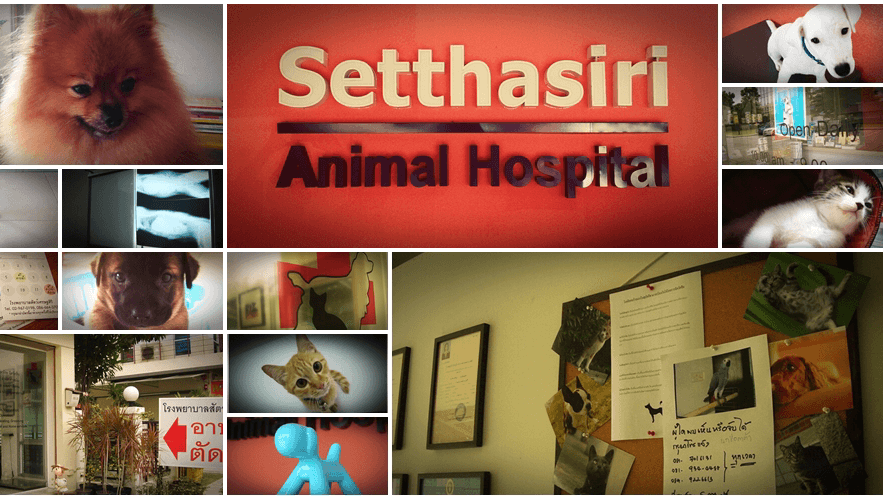 โรงพยาบาลสัตว์เศรษฐสิริ