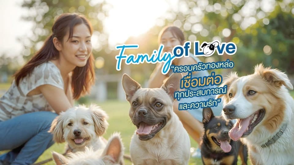 Thonglor Pet Hospital Srinakarin