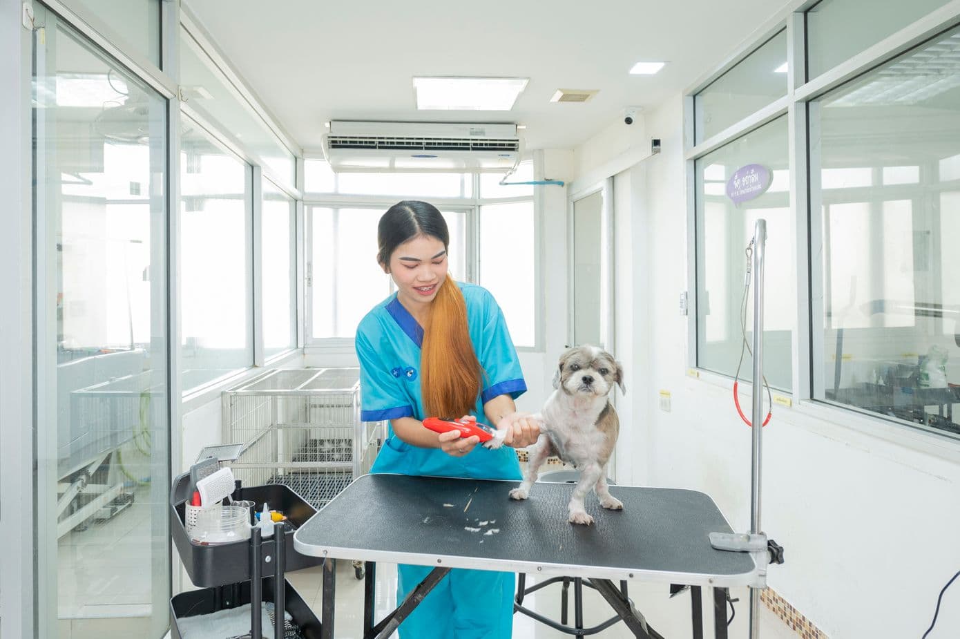 Thonglor Pet Hospital Ramintra gallery 5