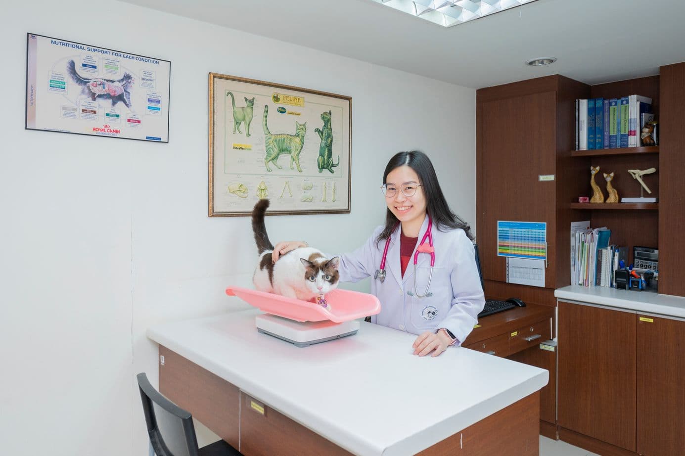 Thonglor Pet Hospital Ramintra gallery 6