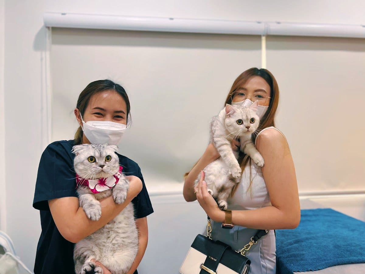 Petsiamparkclinic gallery 4