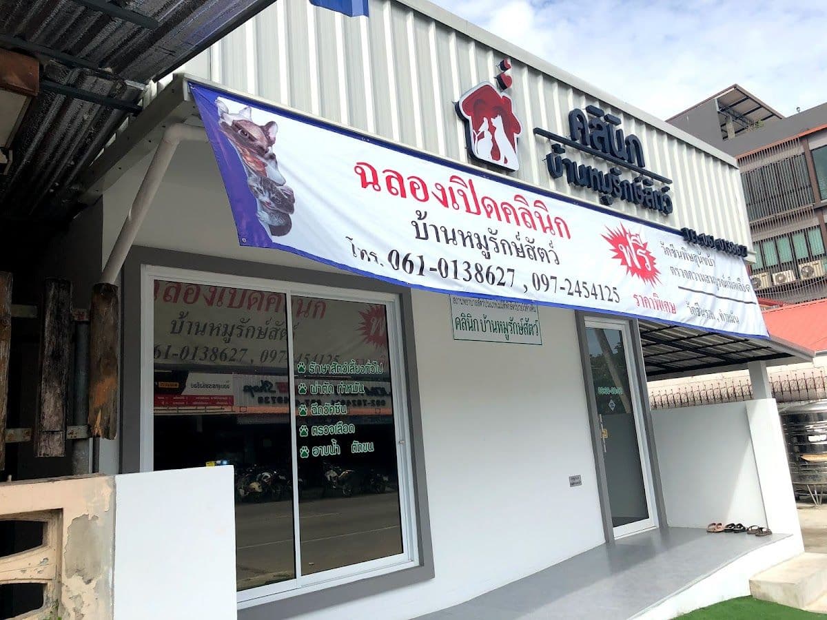 บ้านหมูรักษ์สัตว์ : BanMo