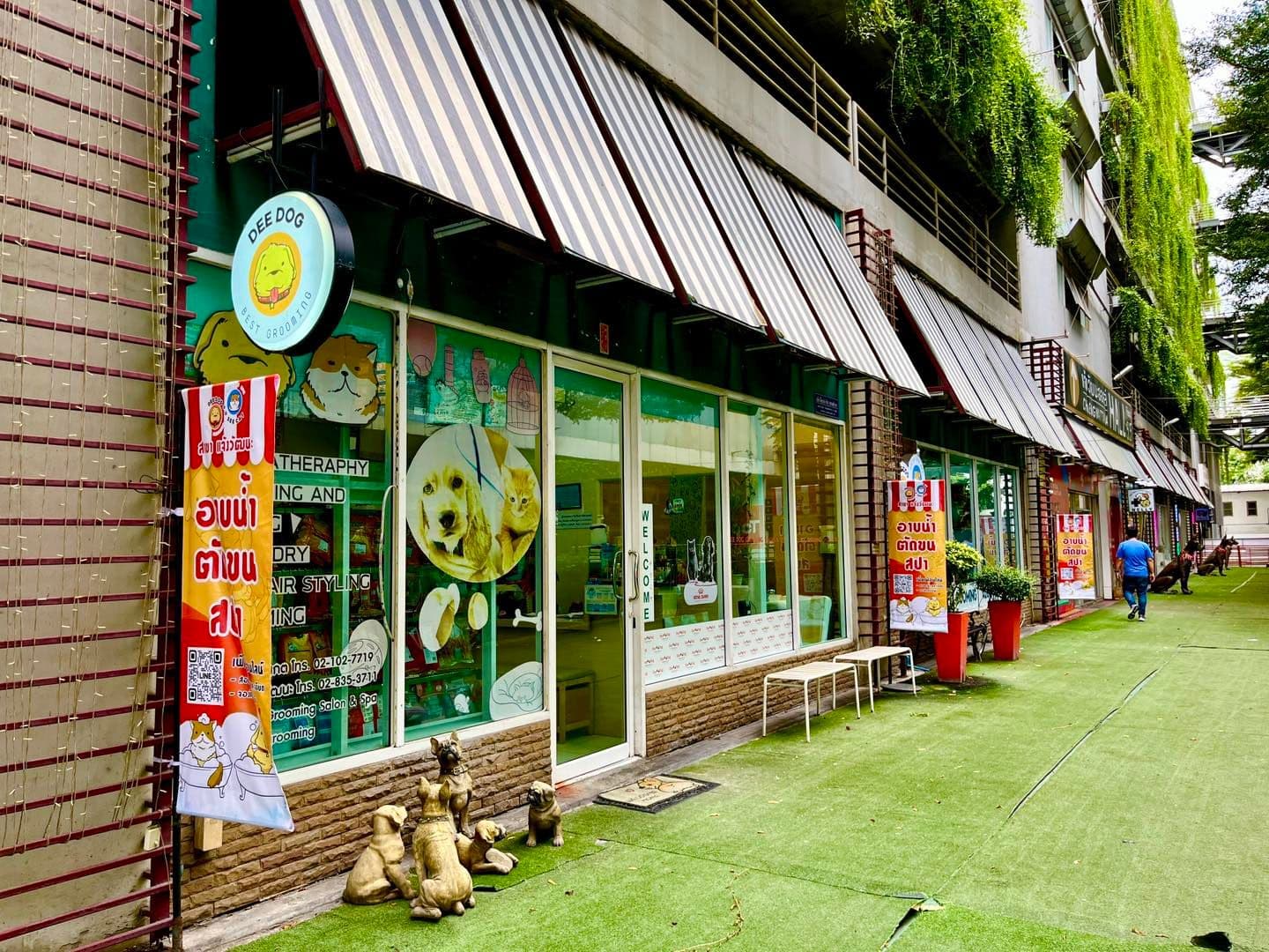 Dee Dog See Cat Grooming gallery 5