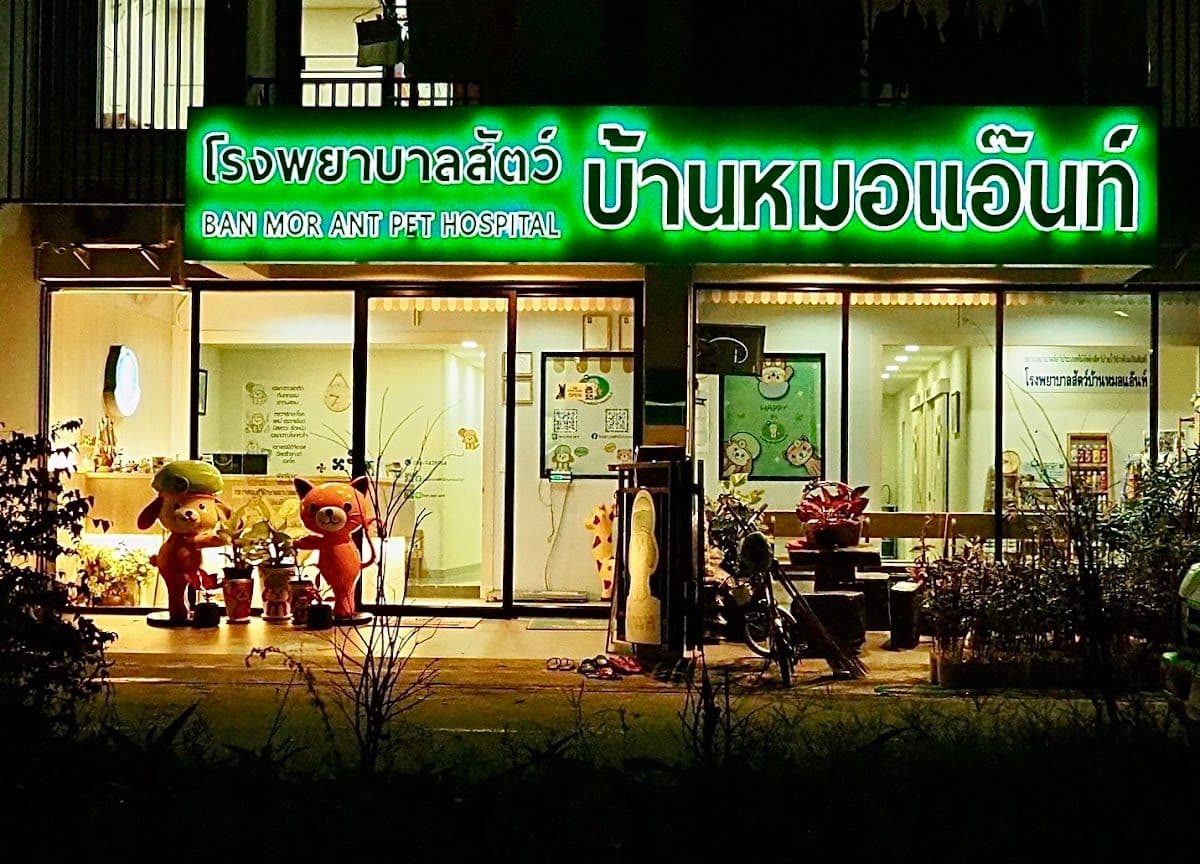 Ban Mor Ant Pet Hospital