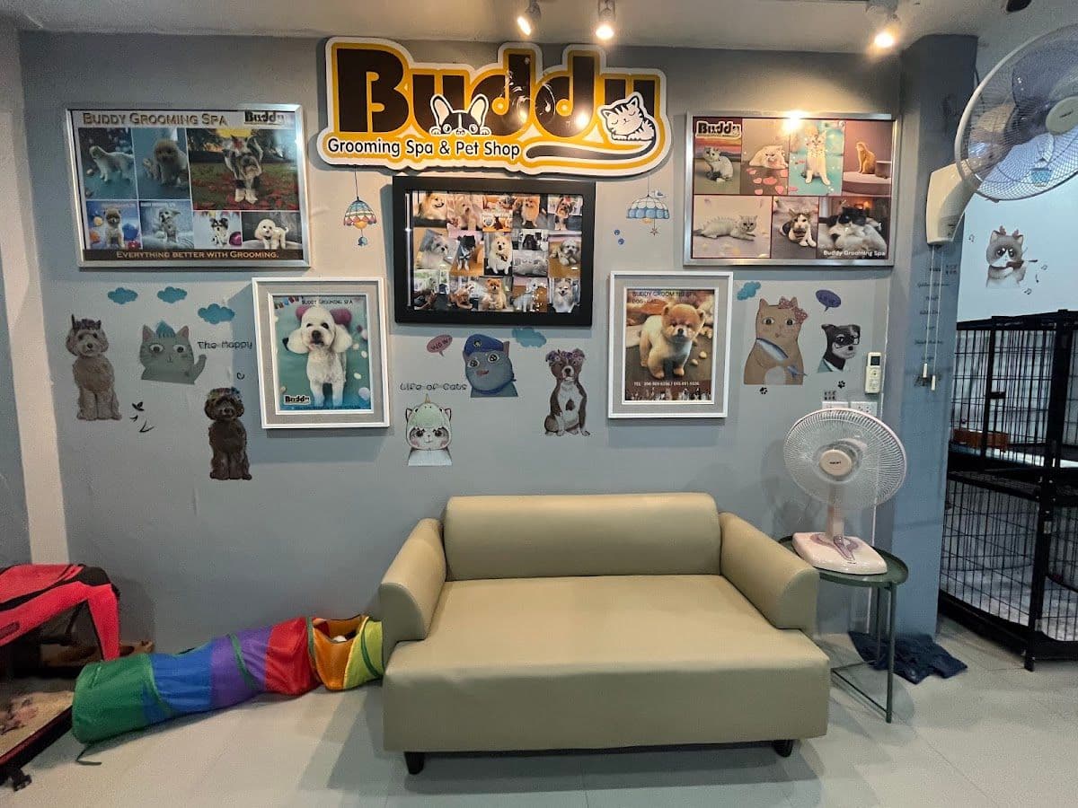 Buddy Grooming Spa