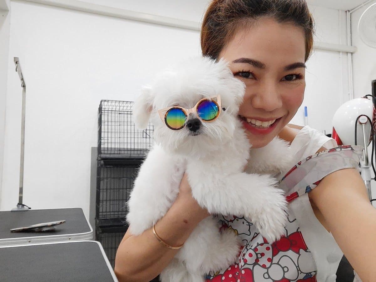 Pet Grooming by ช่างแหม่ม gallery 6
