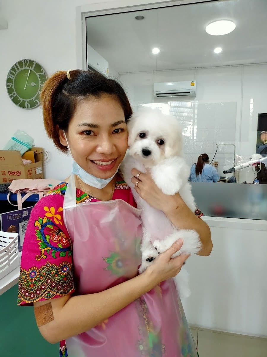 Pet Grooming by ช่างแหม่ม image 3