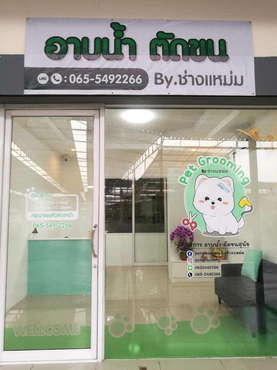 Pet Grooming by ช่างแหม่ม image 2