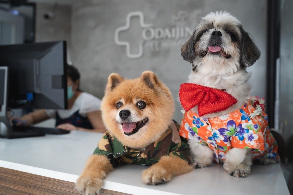 โรงพยาบาลสัตว์โอะไดจินิ สาขารามอินทรา