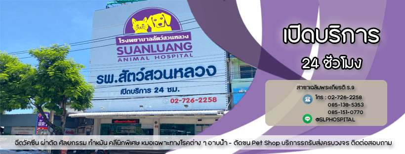 โรงพยาบาลสัตว์สวนหลวง 267 image 2
