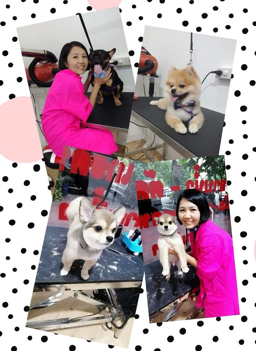 ยิ่งดี กรูมมิ่ง