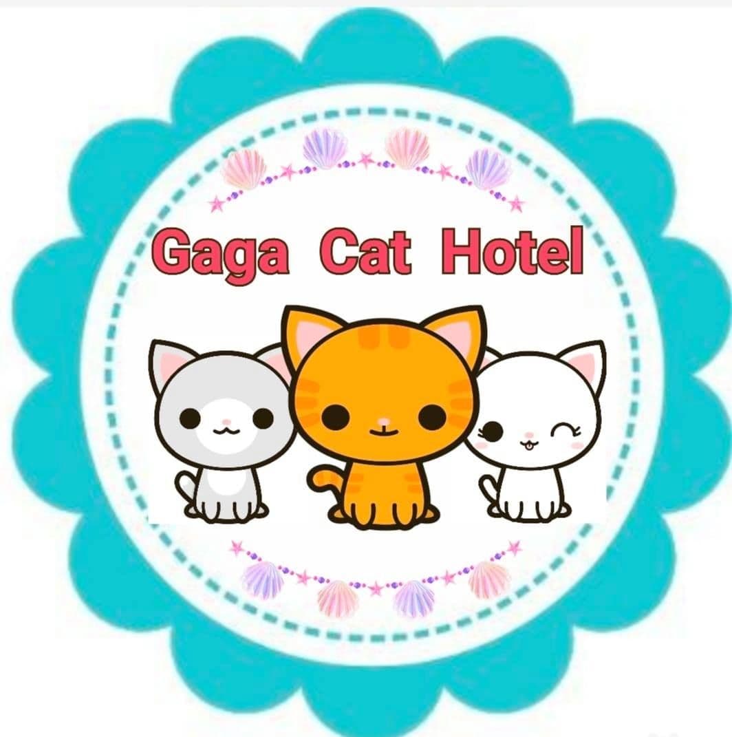 Gaga Cat Hotel