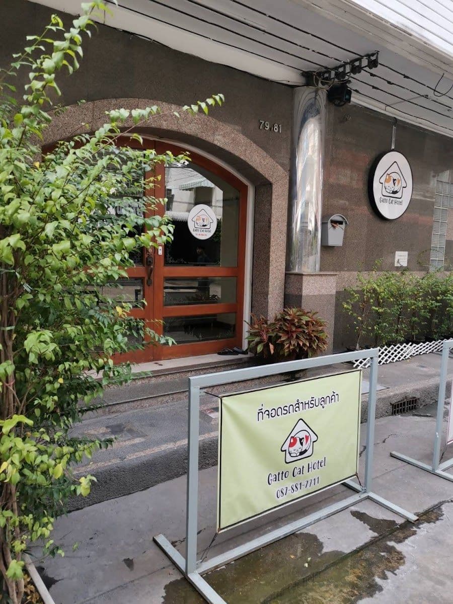 Gatto Cat Hotel gallery 5