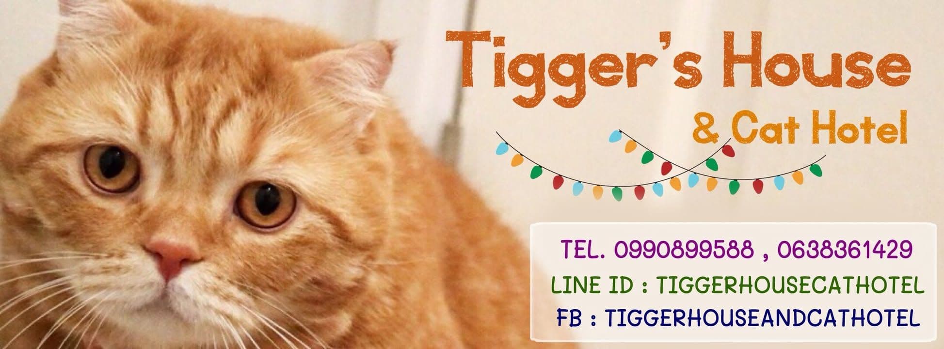 Tigger's House & Cat Hotel