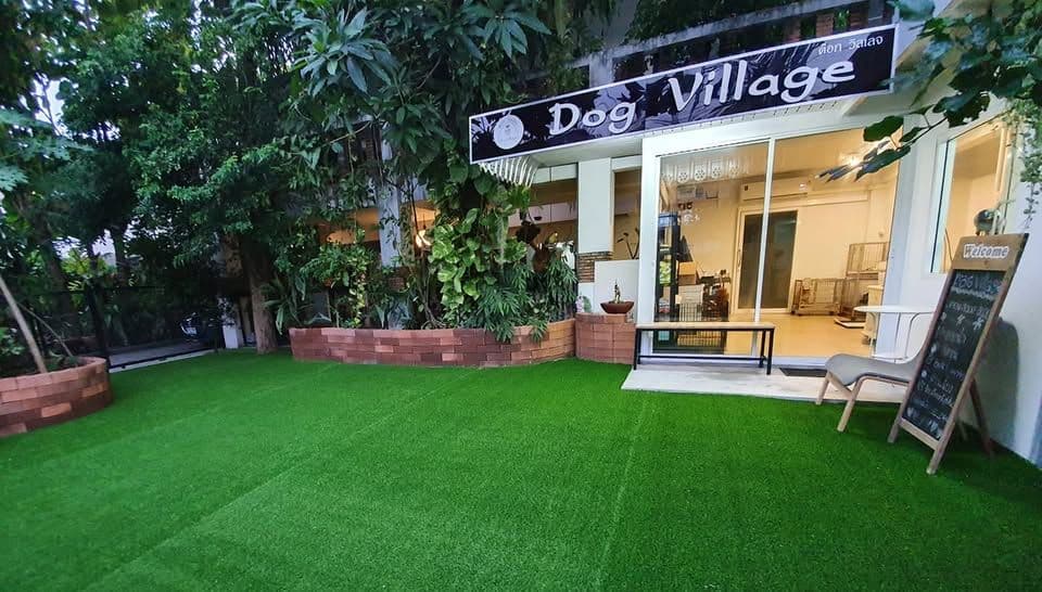 Dog Village image 3