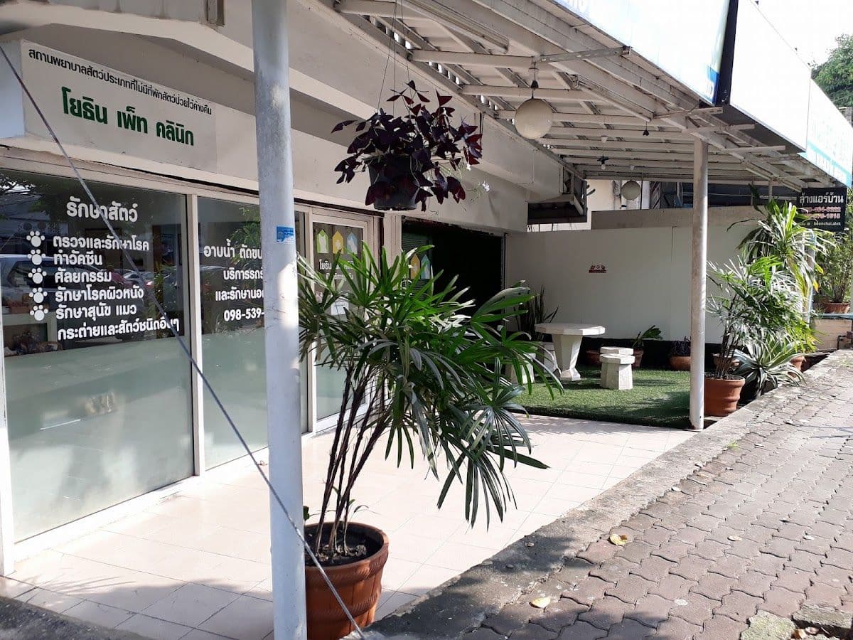 โยธิน เพ็ท คลินิก