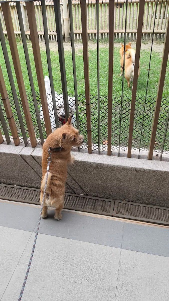 Hato Pet Wellness Center gallery 6