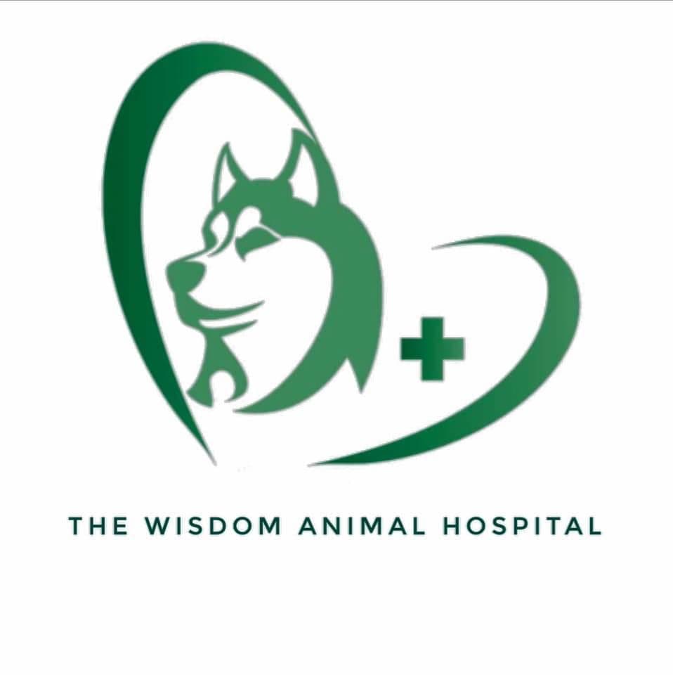 The Wisdom Animal Hospital