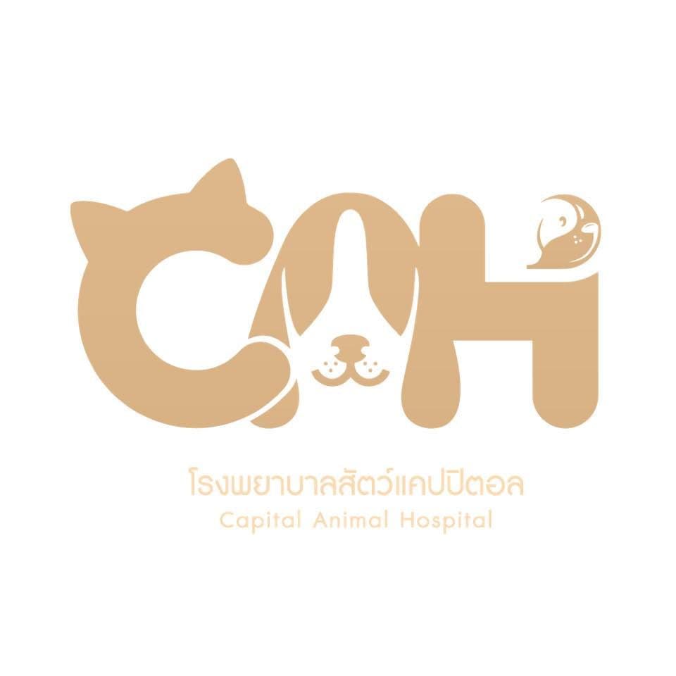 โรงพยาบาลสัตว์แคปปิตอล