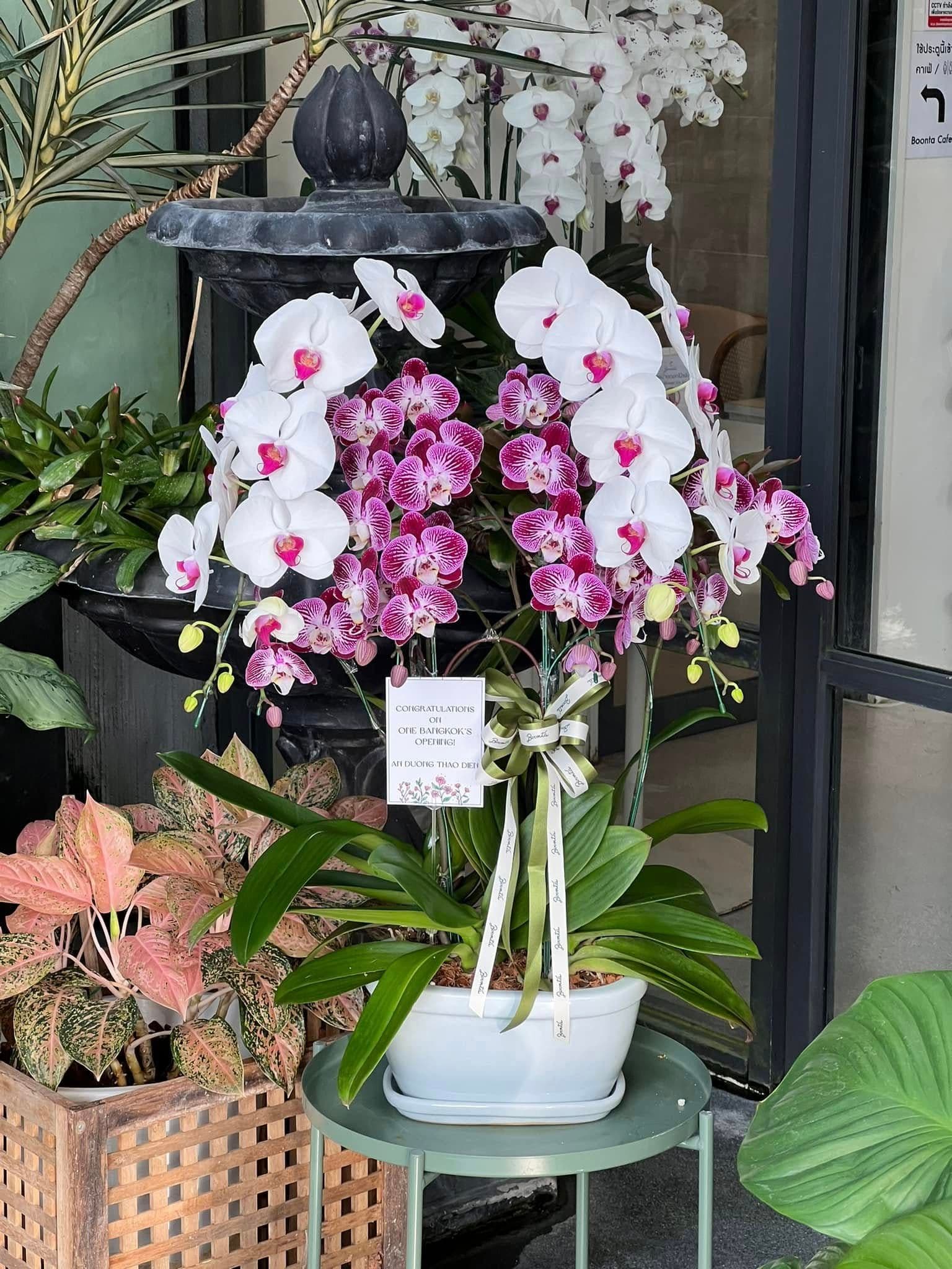 Boonta Flowers and Cafe
