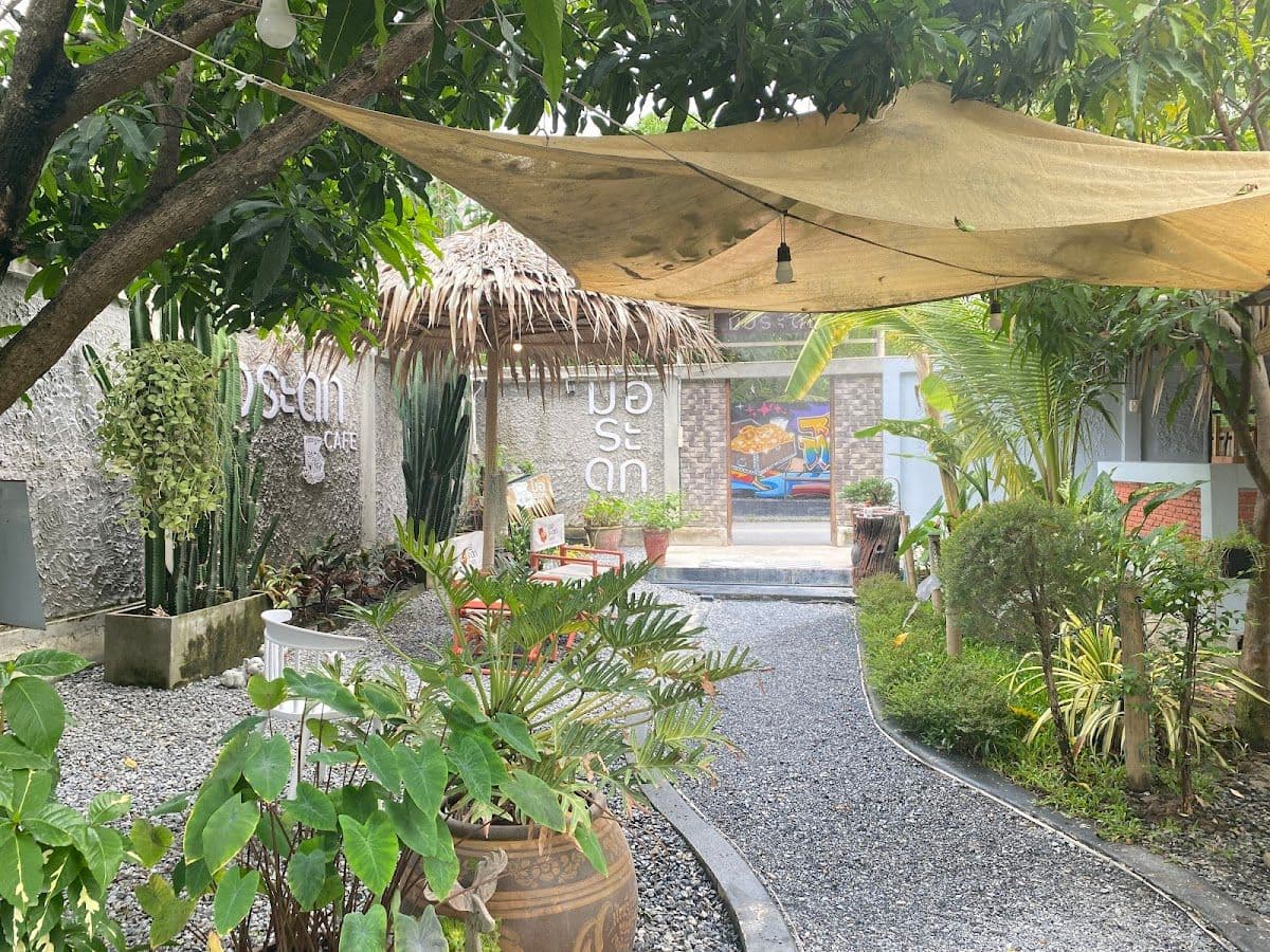 มอระดก คาเฟ่