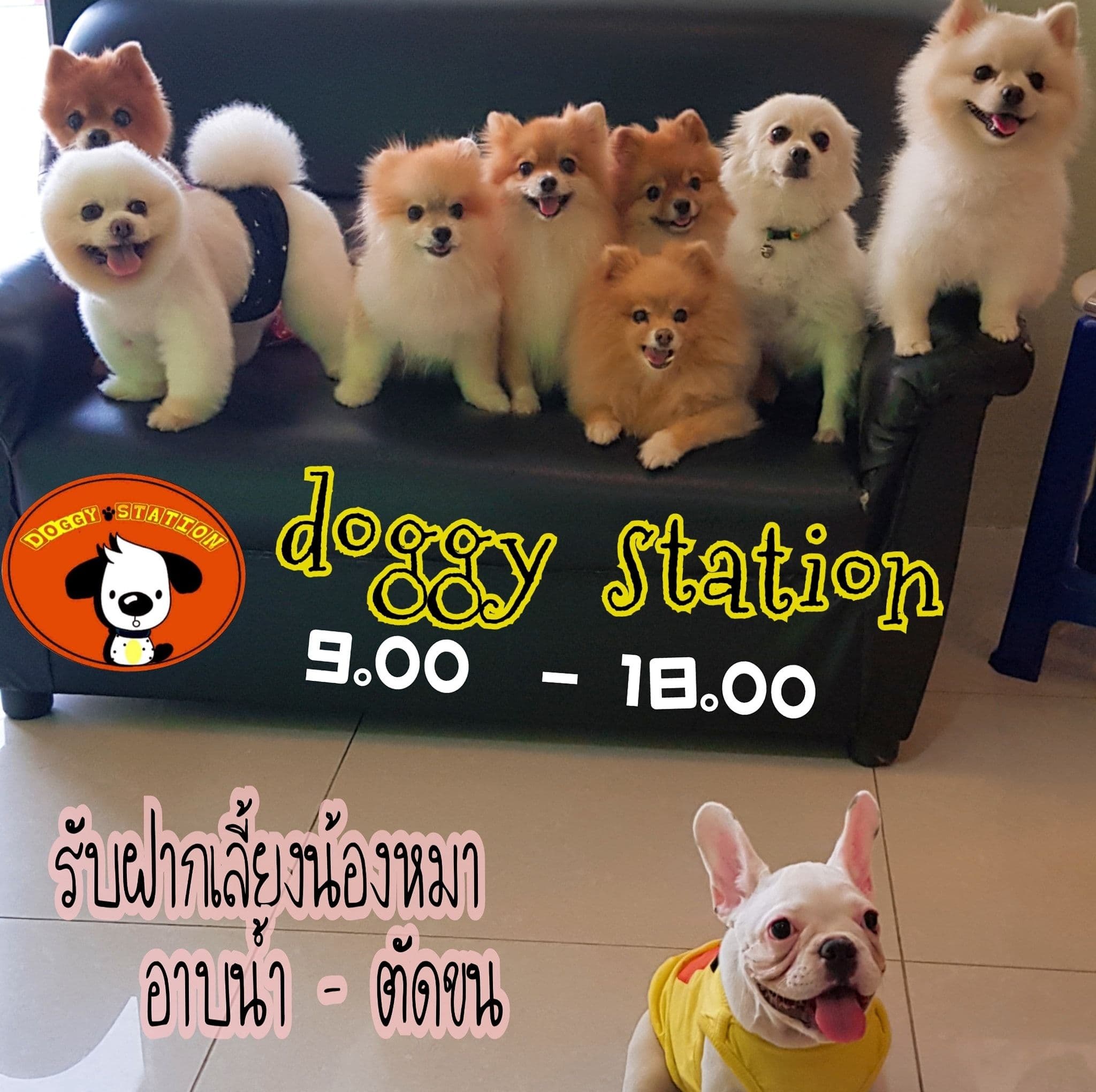 Doggy Station