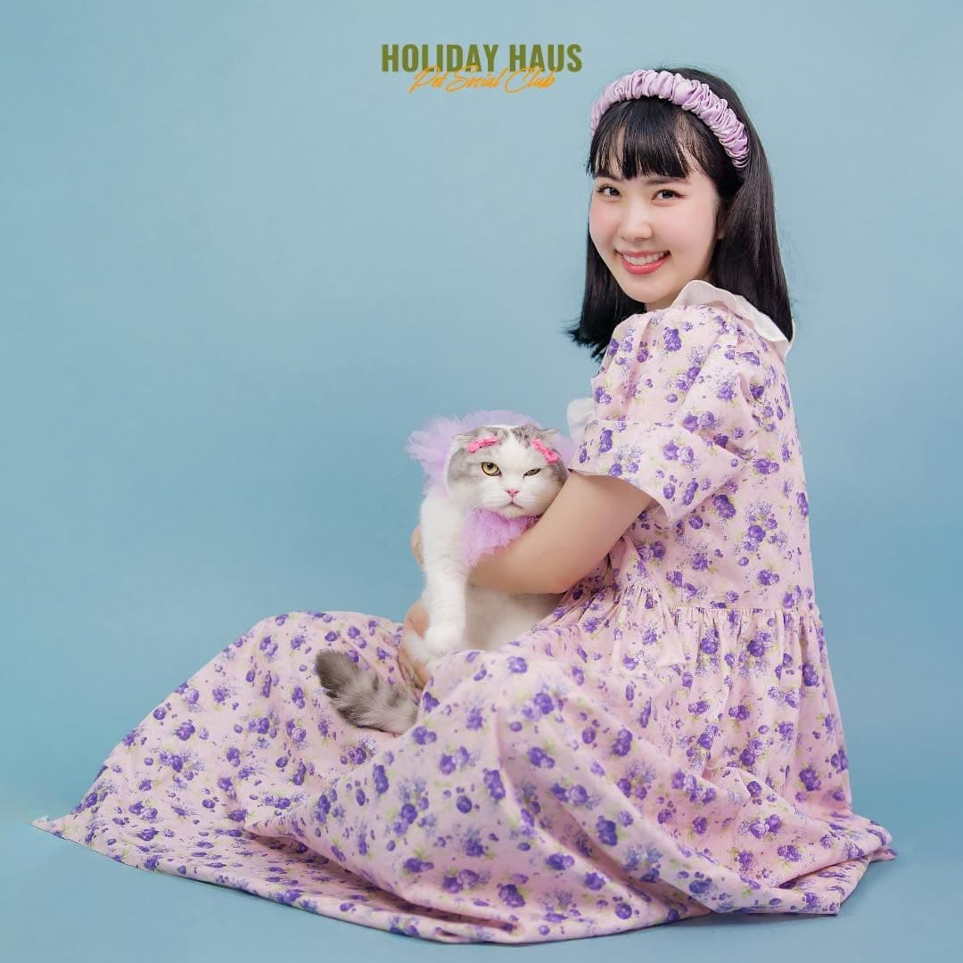 Holiday Haus Pet Social Club gallery 6