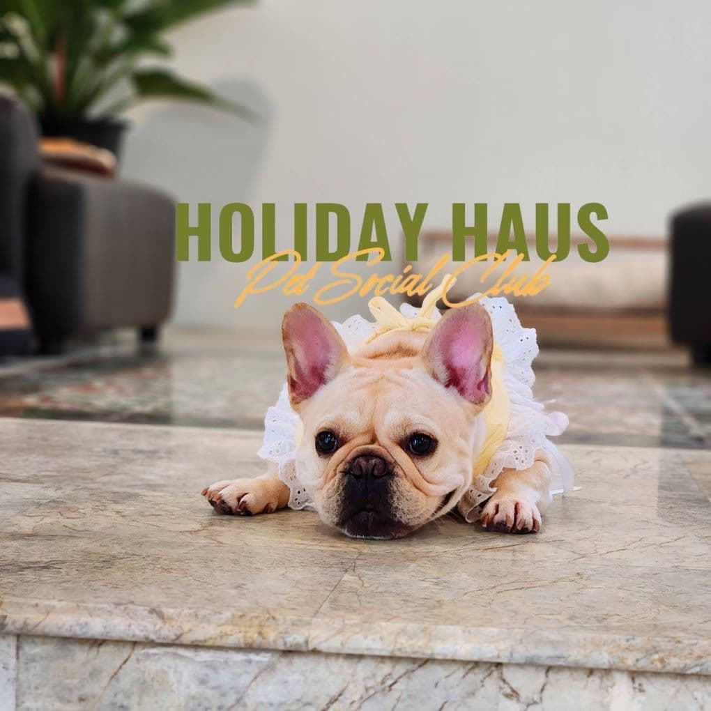 Holiday Haus Pet Social Club image 3