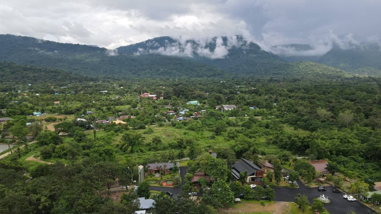 The Chamuang Forest image 2