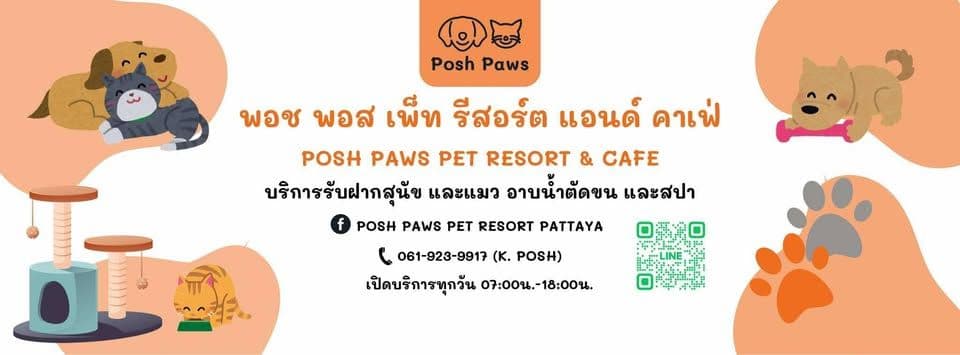 Posh Paws Pet Resort Pattaya image 2